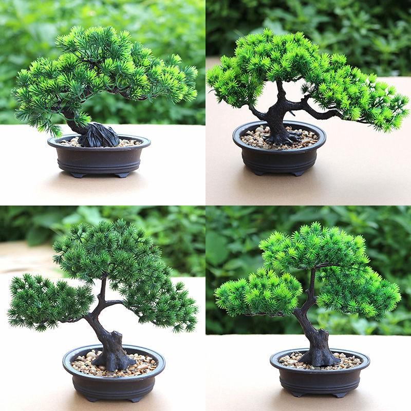 Cây thông giả, chậu cây cảnh bonsai trang trí để bàn, kệ tủ xanh mát tự nhiên CT-03