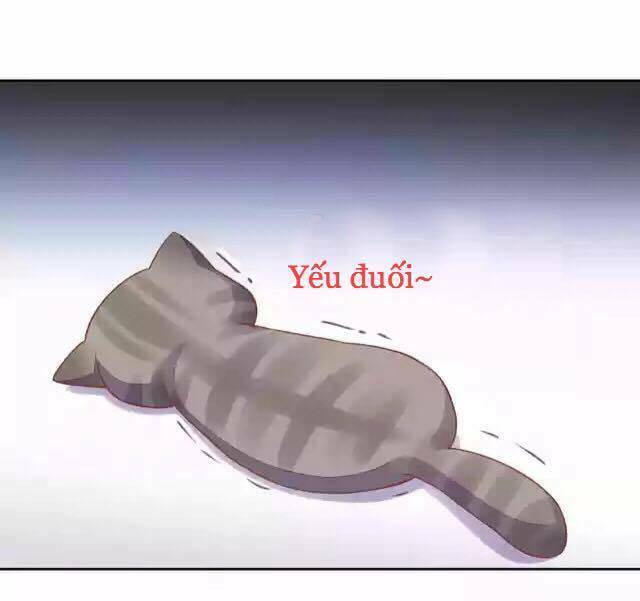 dưới móng vuốt mèo chapter 12 19