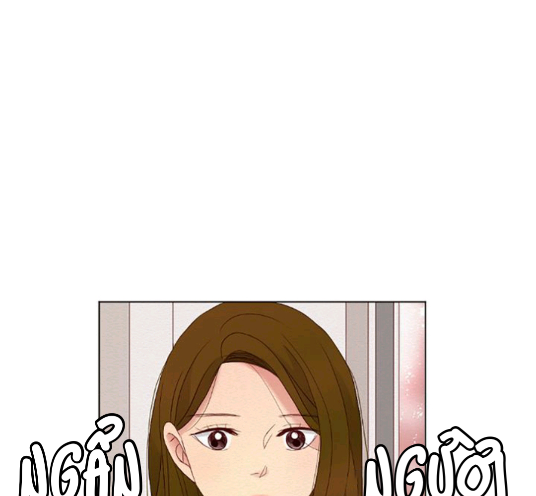 thầm yêu chapter 12 61