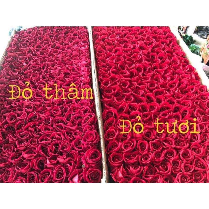 Combo 10 đầu bông Hồng Nhung 11cm - Hoa giả