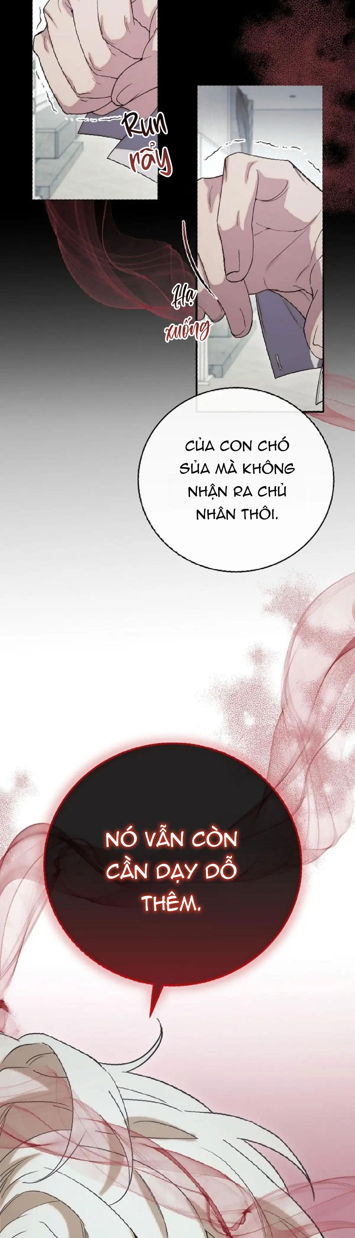 (abo)mối quan hệ không hoàn chỉnh chapter 10 17
