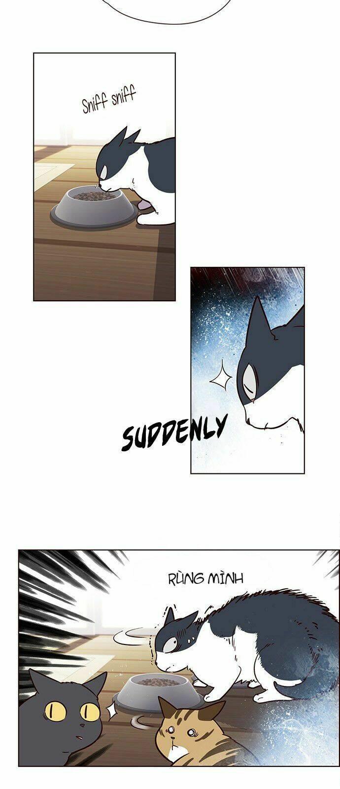 biến thân thành mèo chapter 6 34