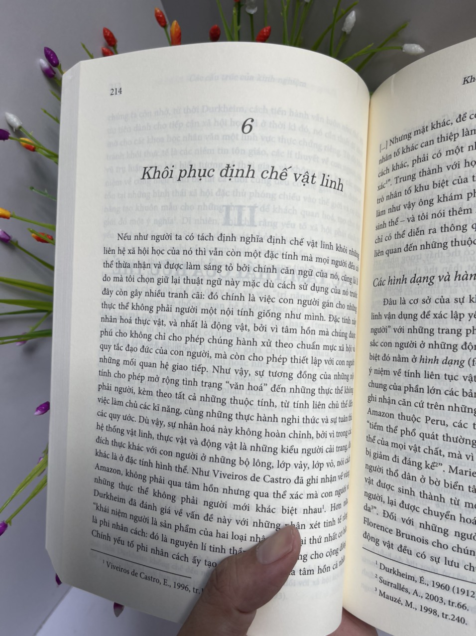BÊN KIA TỰ NHIÊN VÀ VĂN HÓA – Philippe Descola – Phạm Văn Quang, Võ Thị Ánh Ngọc - NXB ĐH Sư phạm