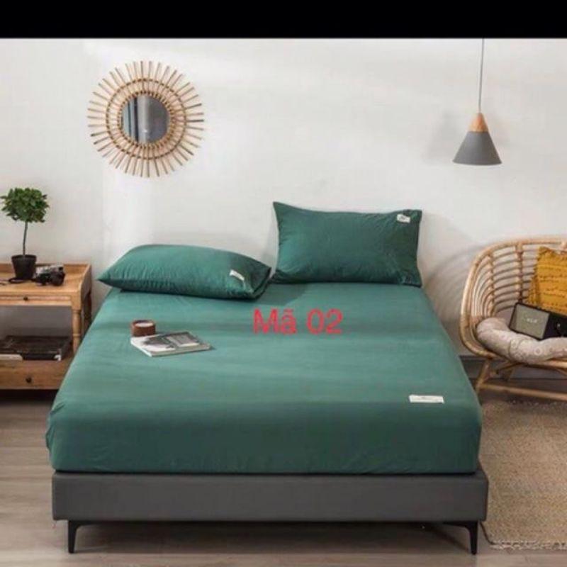️️ RẺ VÔ ĐỊCH ️️Bộ Ga Gối Cotton Tici Loại 1
