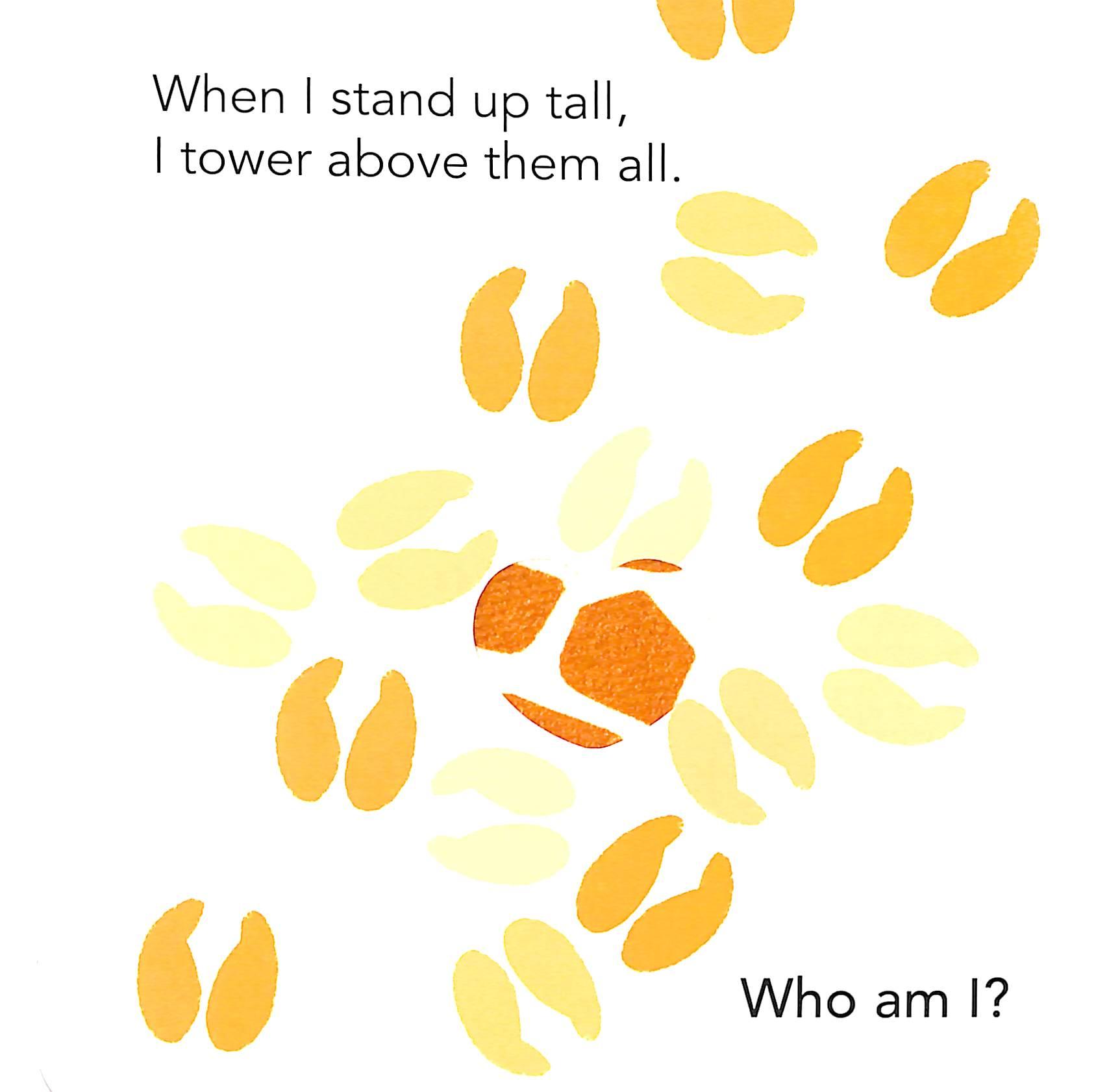 Who Am I? Touch &amp; Feel Flap Book: Wild Animals