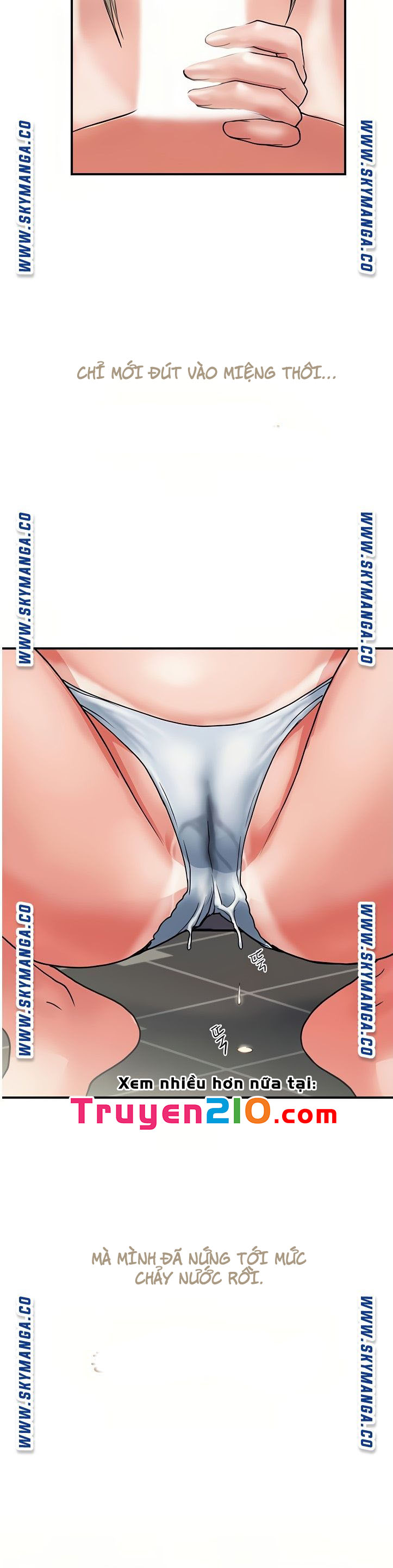 chất dẫn dục chapter 11 12