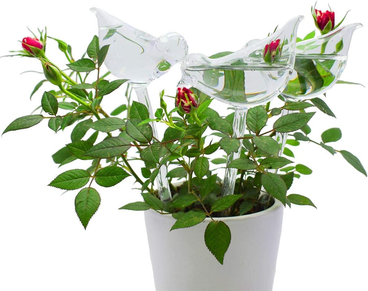 Bộ 6 quả cầu tưới nước có gai tự tưới hình con chim cho cây trồng, trong nhà và ngoài trời