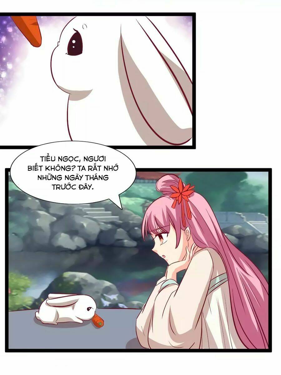 thỏ yêu tiểu vương phi chapter 106 25