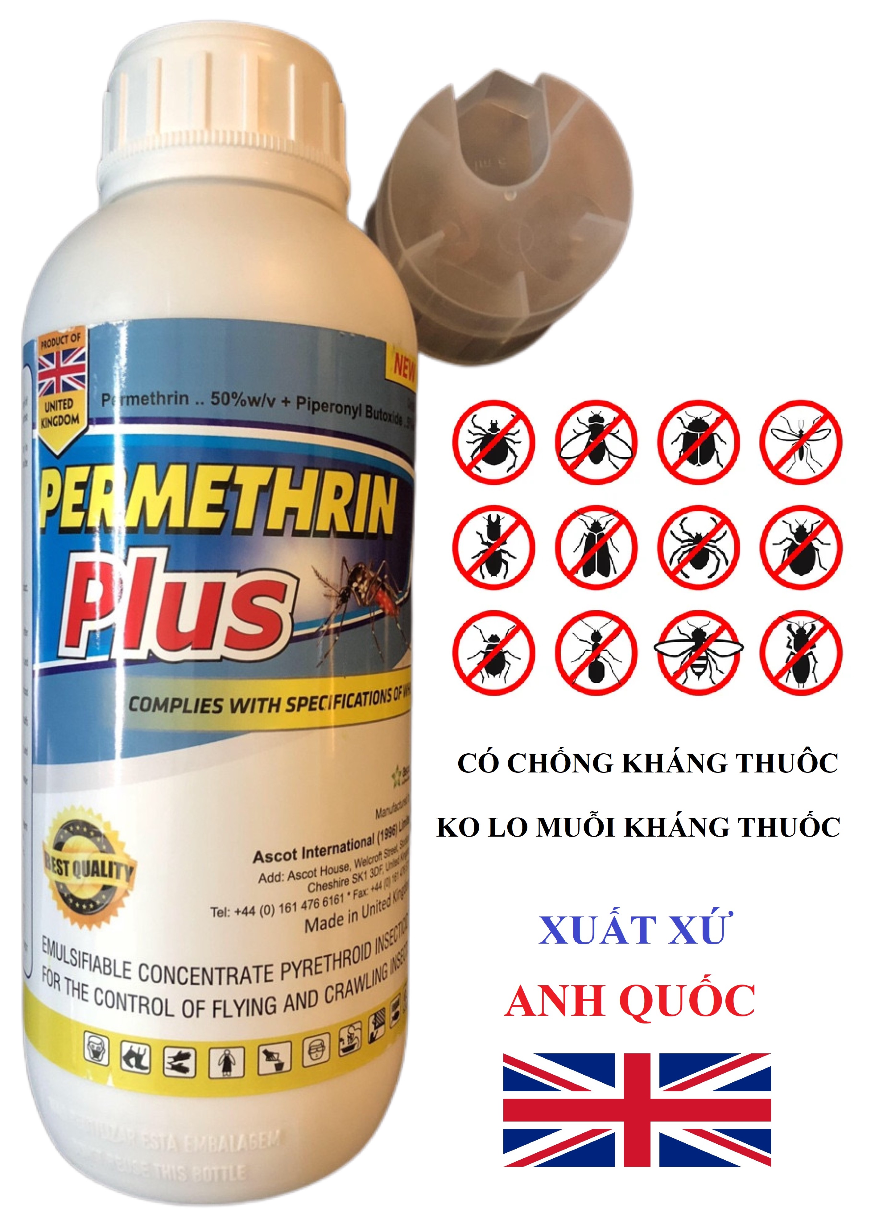Thuốc diệt muỗi và côn trùng Permethrin Plus 50EC chai 1 lít tác dụng mạnh với ruồi, muỗi, kiến, gián...