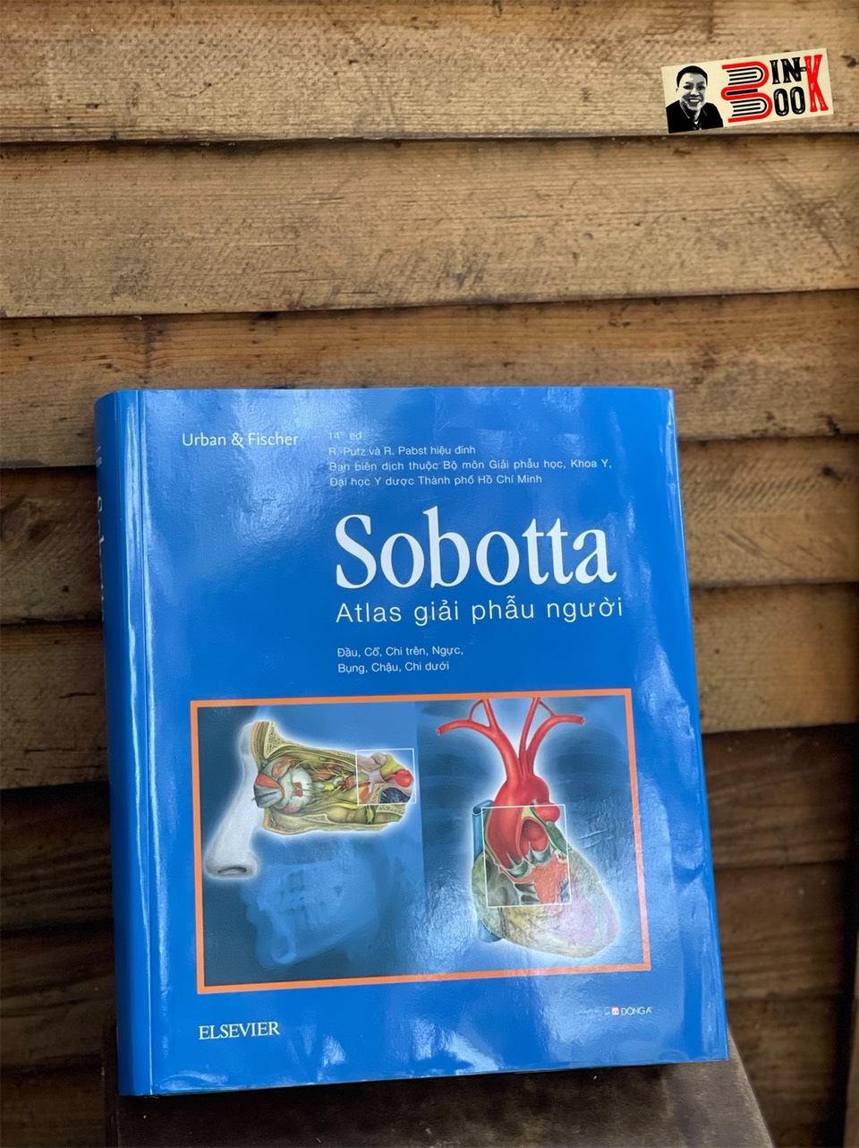 Bìa cứng, in màu toàn bộ _ SOBOTTA A.TLAS GIẢI PHẪU NGƯỜI – Johannes Sobotta- Đông A- NXB Dân Trí