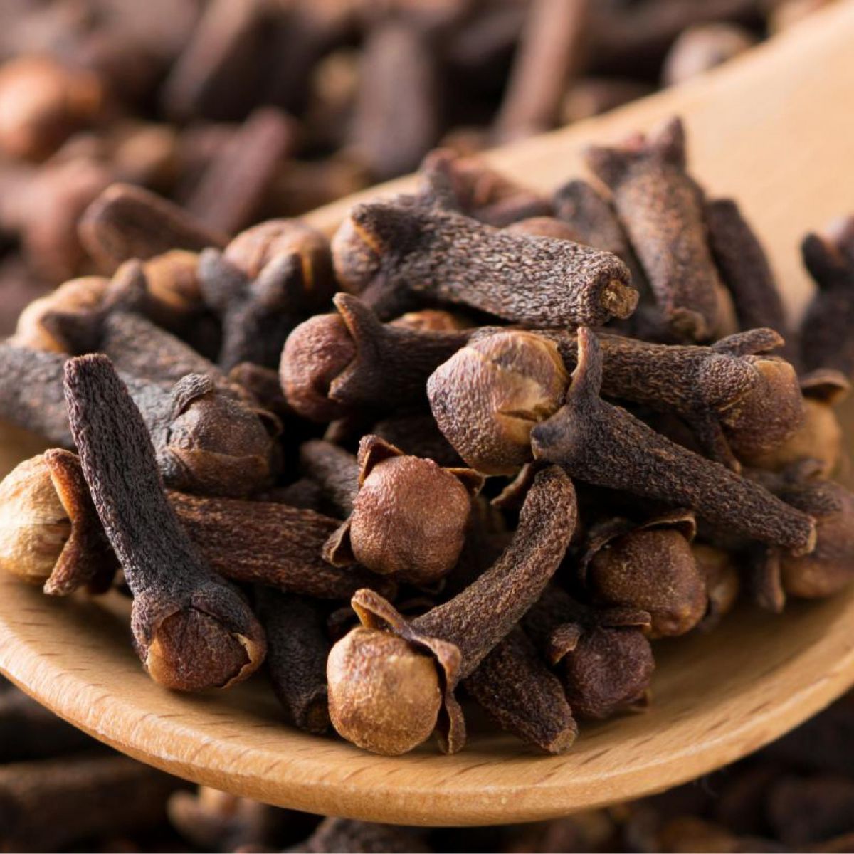 Nụ Đinh Hương khô 500gram