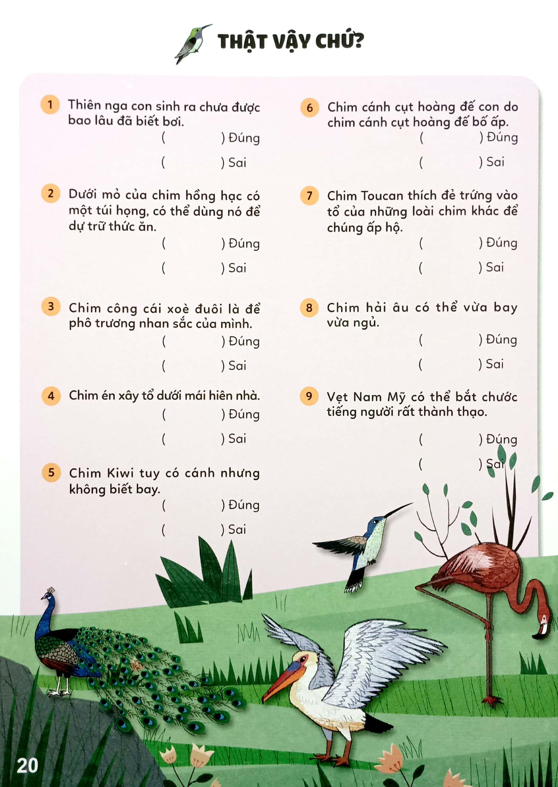 Sticker Bước Vào Thế Giới Thiên Nhiên Kỳ Thú - Tập 2 - Muôn Vàn Các Loài Chim