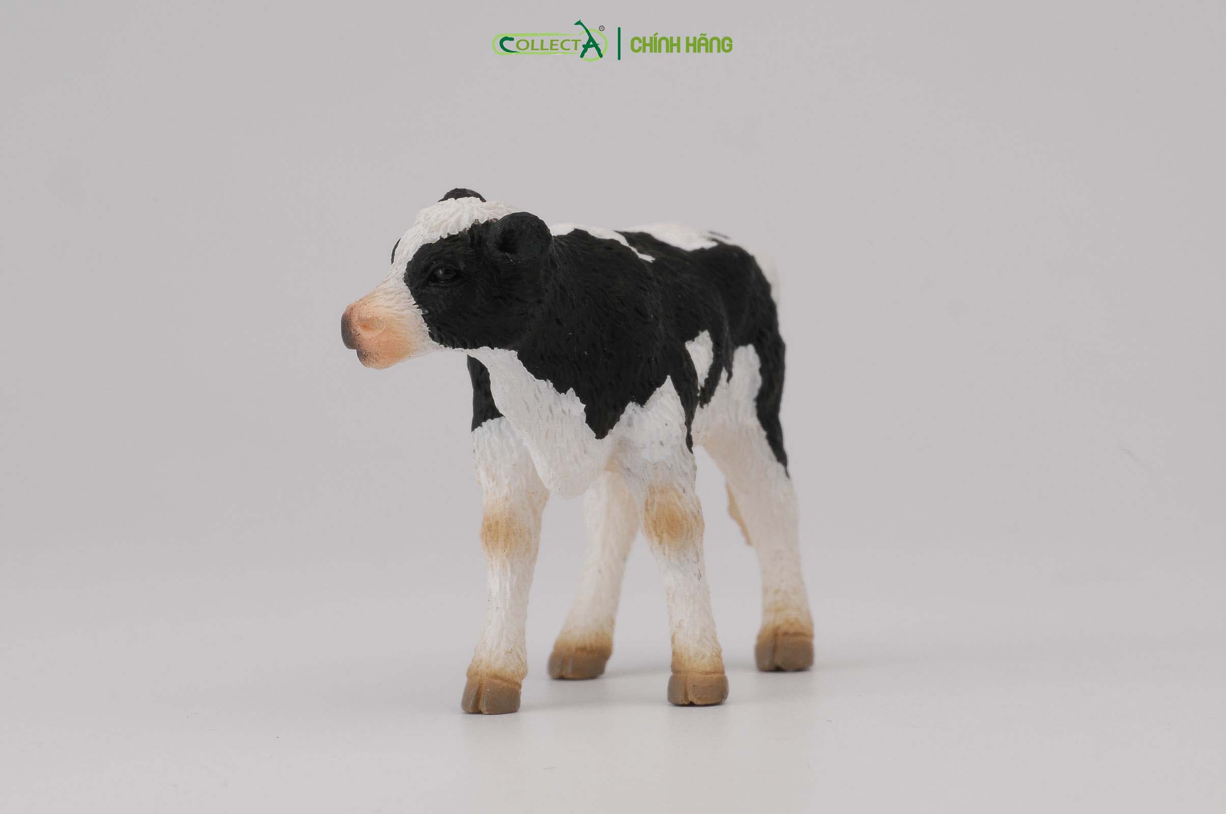 Mô hình thu nhỏ: Bò Hà Lan con - Đứng - Friesian Calf - Standing, hiệu: CollectA, mã HS 9650072[88483] -  Chất liệu an toàn cho trẻ - Hàng chính hãng