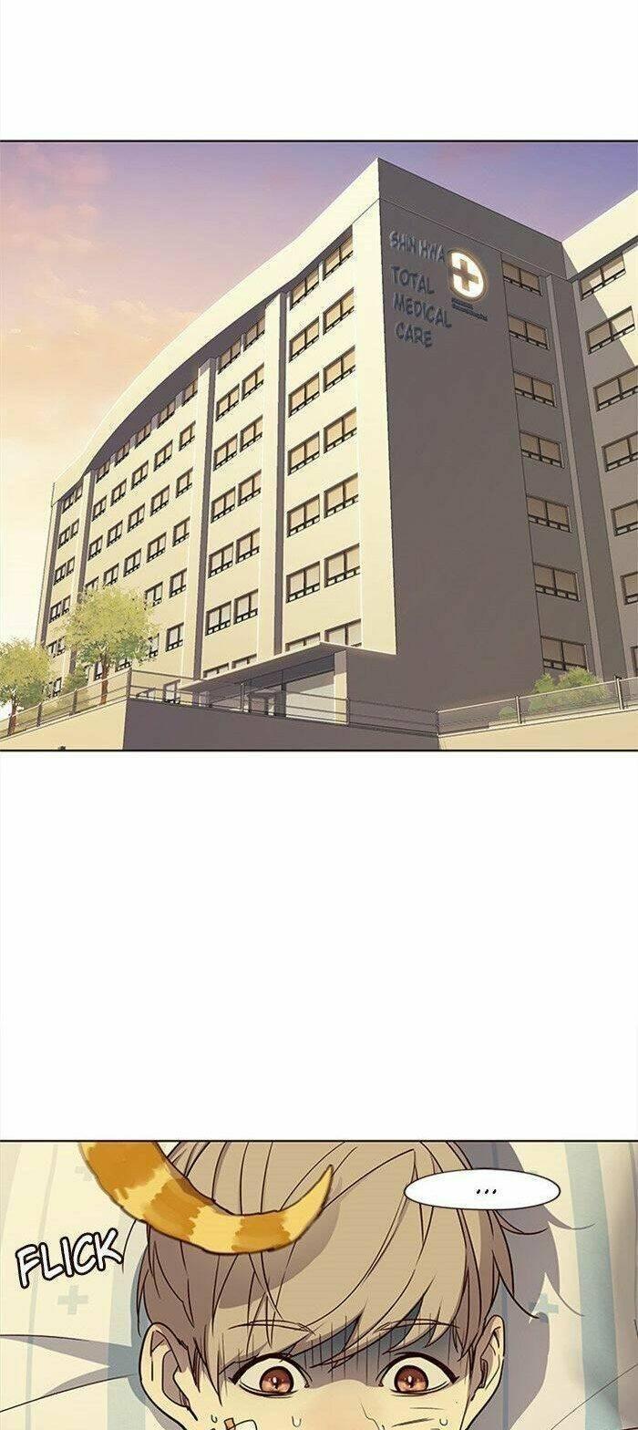 biến thân thành mèo chapter 29 12