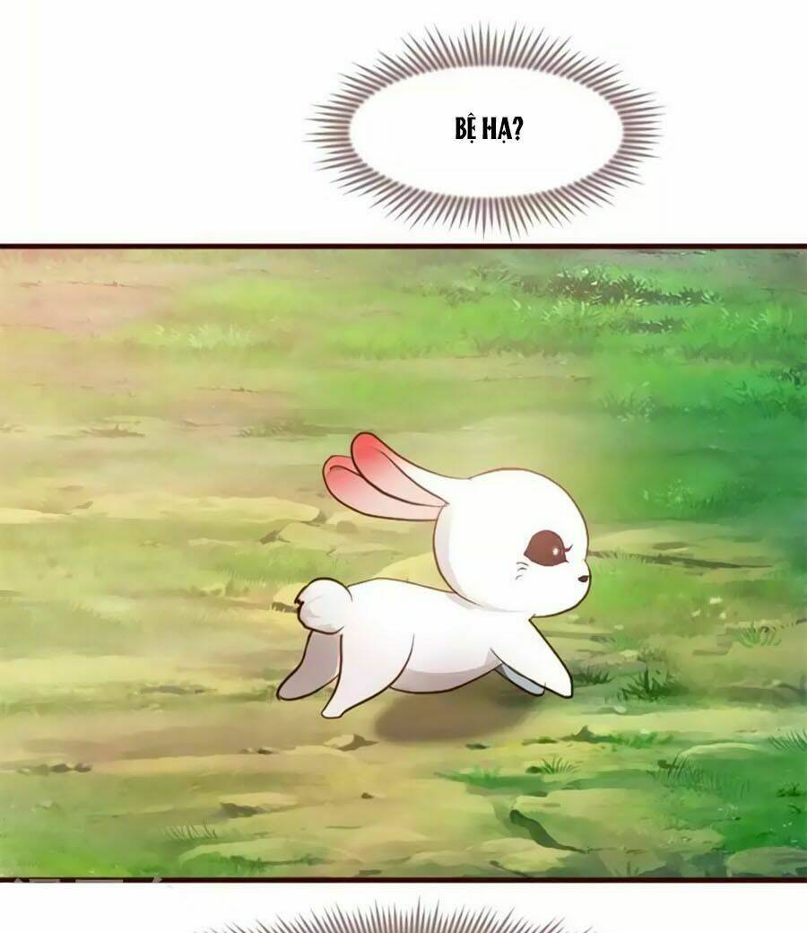 thỏ yêu tiểu vương phi chapter 1 10