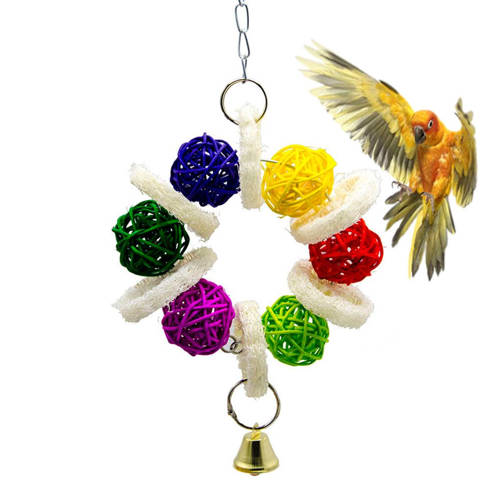 Bird Toy Conure Foraging Hanging Toy for Small Medium Parrots  Type 1