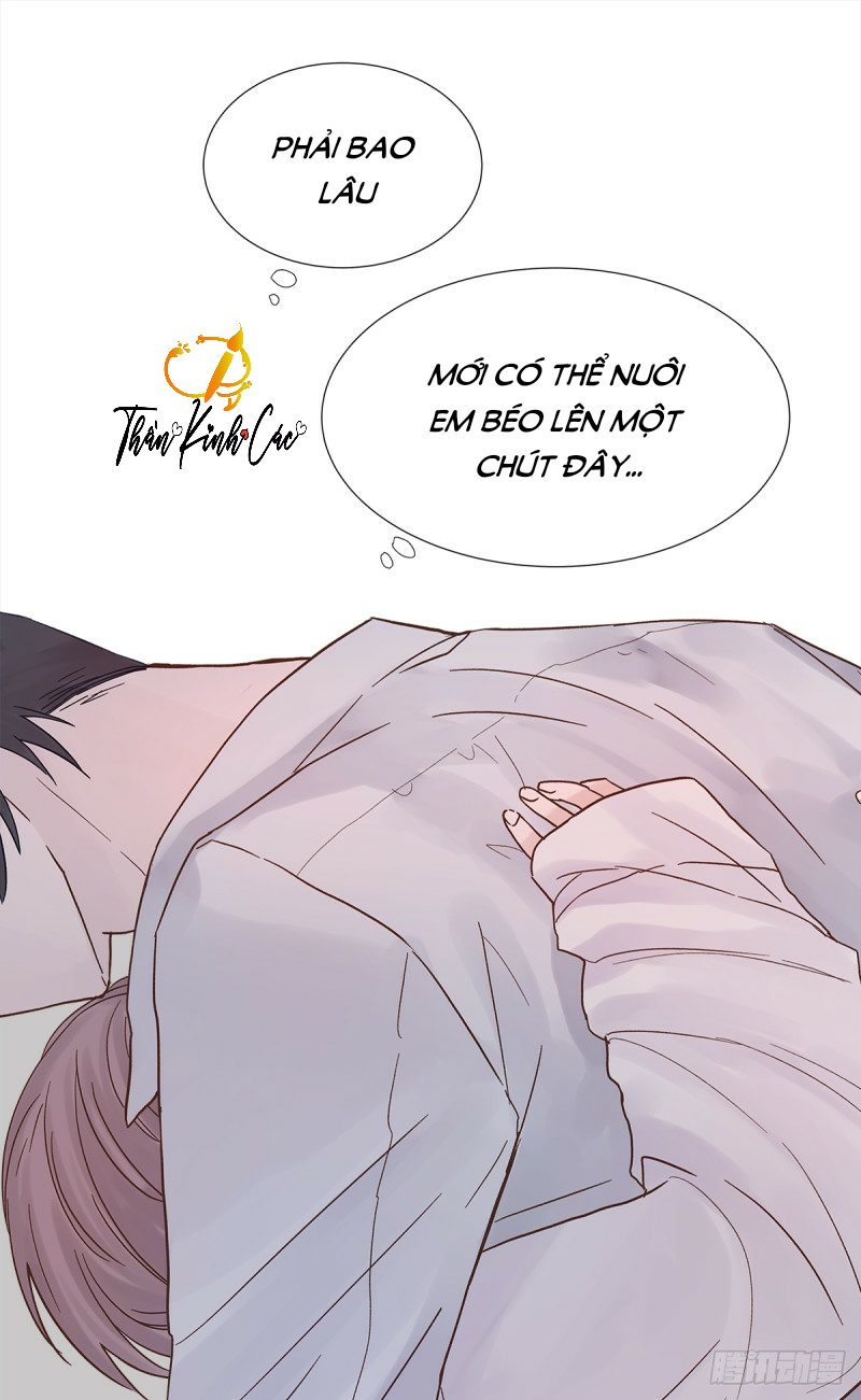 mối tình đầu gian nan của chu thành nhất chapter 25 37