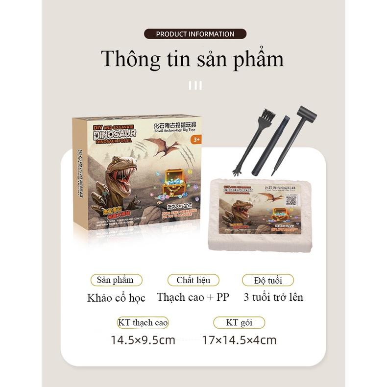 Đồ chơi khai quật khảo cổ học hoá thạch xương khủng long có phát quang kèm bộ dụng cụ đào