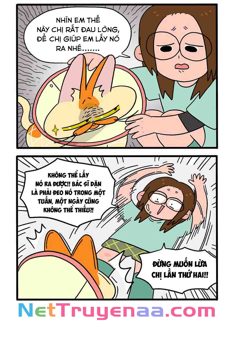 a mãn và mạch trà chapter 23 4