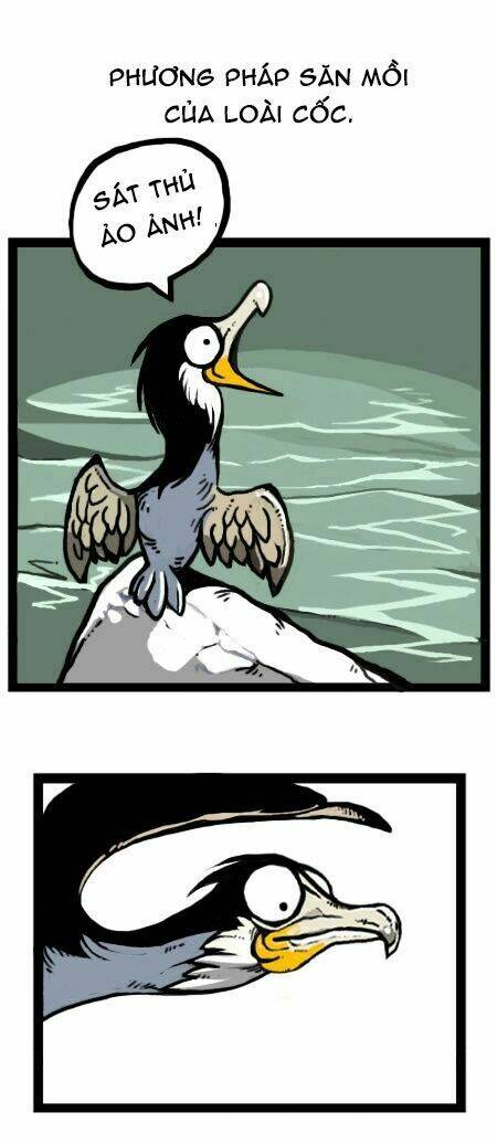 earth, human, and animal chapter 20 20