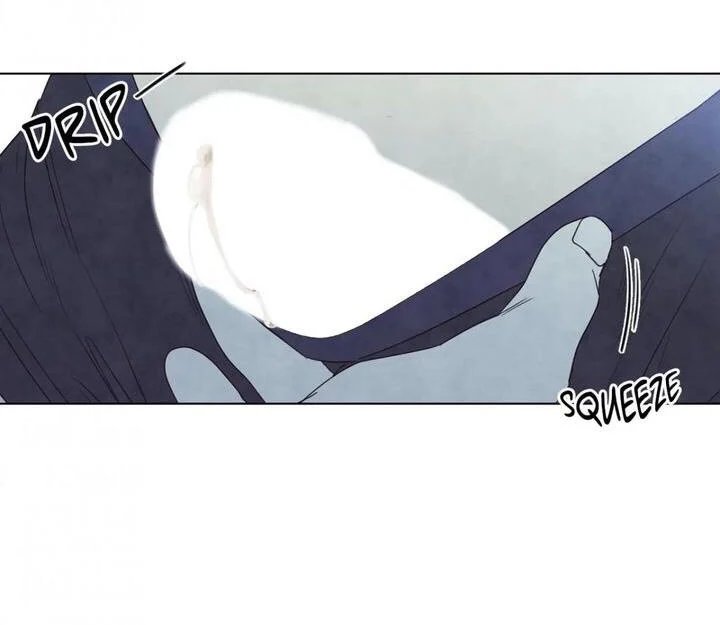 summer solstice point chapter 15 50