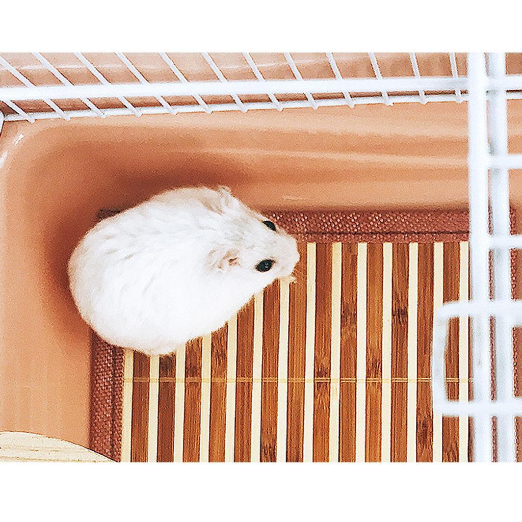 2Pcs Summer Cool Sleeping Bed Mat for Small Pets Hamster Gerbil Guinea Pig