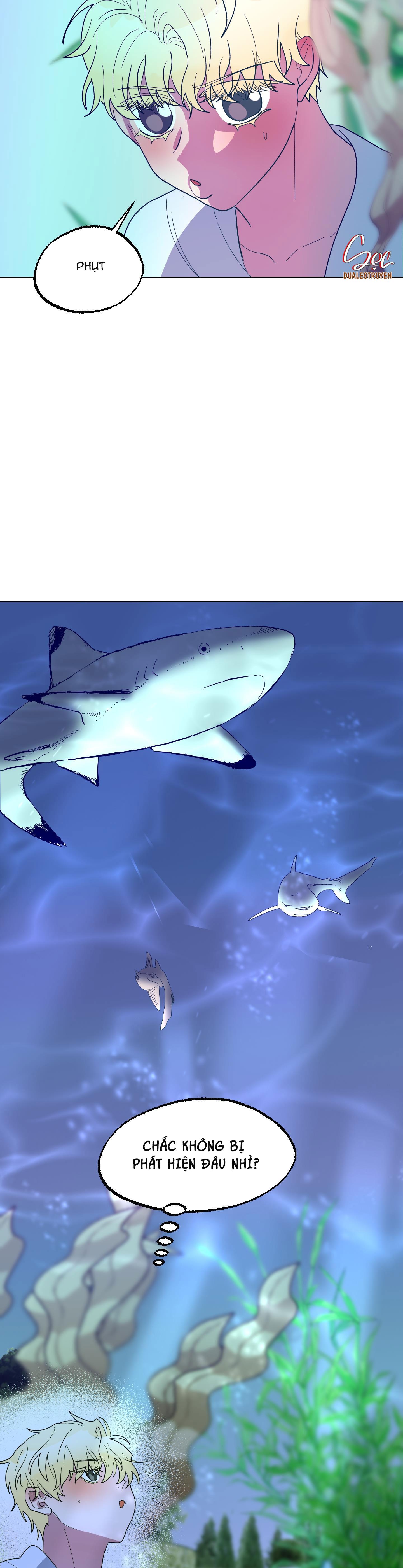 cá mập và cô dâu thỏ chapter 14 8