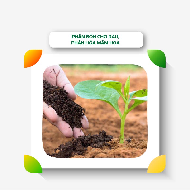 Phân Bón Hữu Cơ Cho Rau Ecom Nutri Crop 100ml Kích Bật Mầm Xanh Nuôi Dưỡng Rau Sạch, Cây Trong Nhà An Toàn
