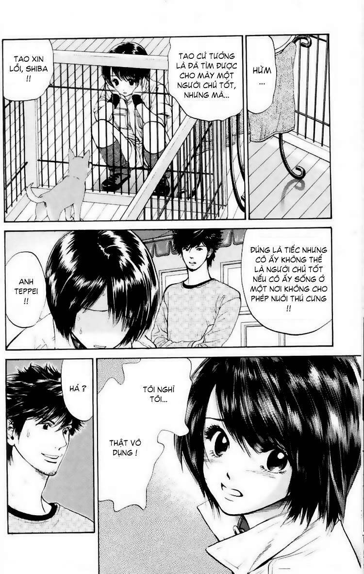 cô nàng yêu chó chapter 17 4