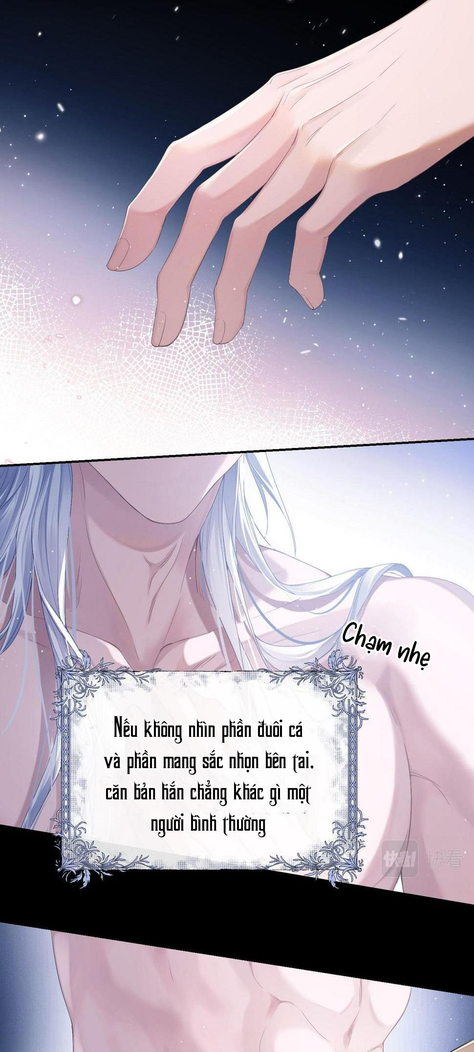 người cá desahrow chapter 1 31