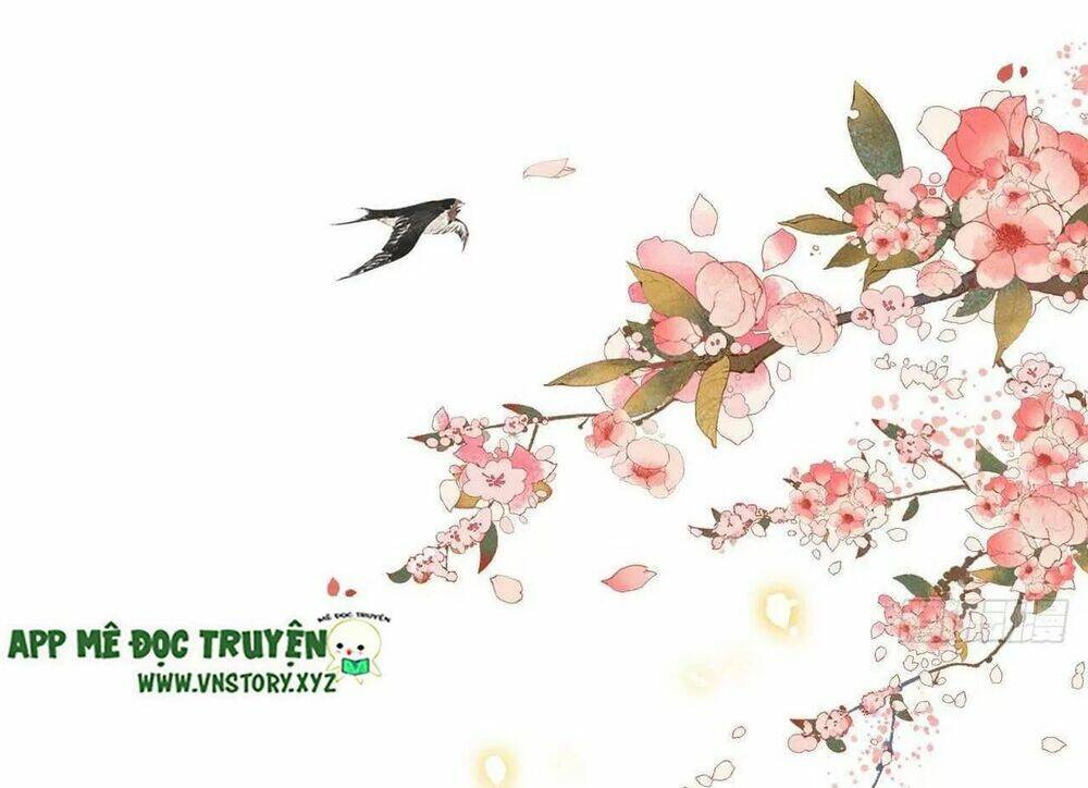 phượng hoàng vu phi chapter 102 10