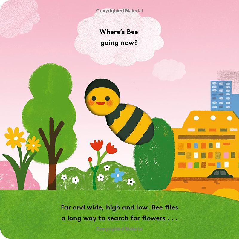 Sách ngoại văn: Little Life Cycles - Bee