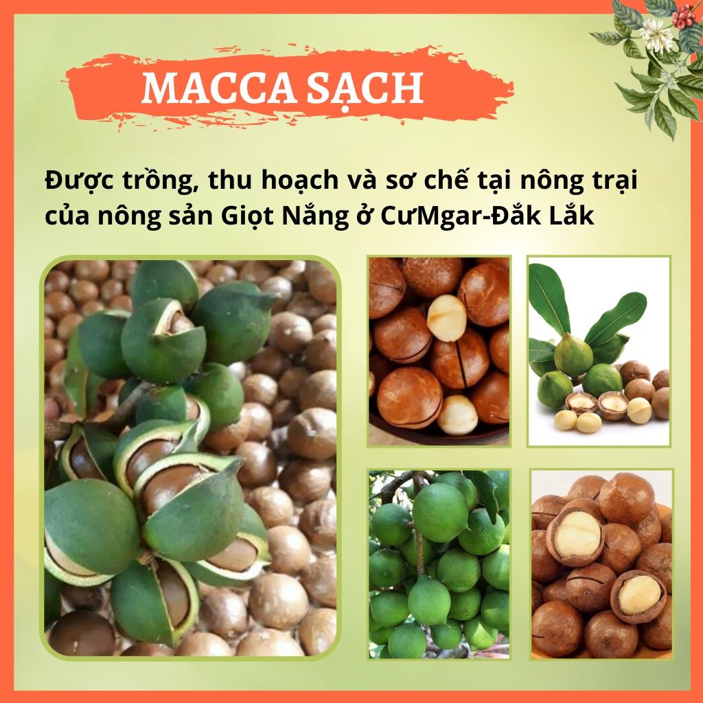 Hạt Macca nứt vỏ Đăk Lăk sấy lạnh giàu dinh dưỡng không hôi dầu 500g từ Nông sản GIỌT NẮNG