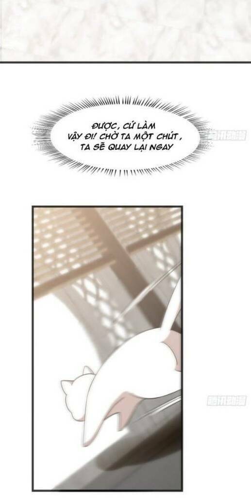 độc bộ thiên hạ: đặc công thần y chapter 185 16