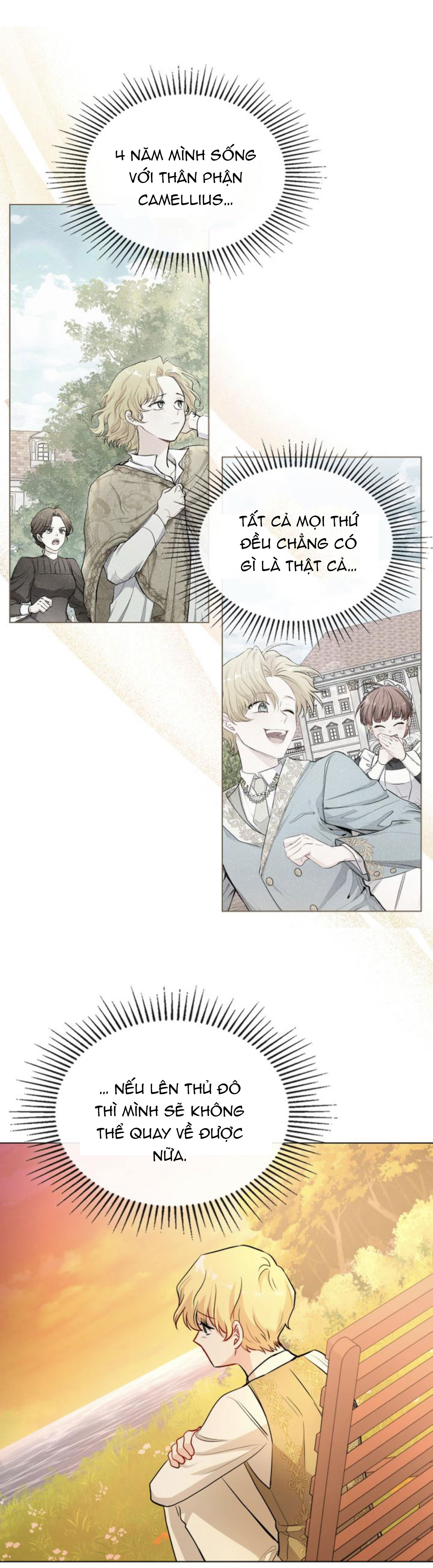 đi tìm nàng camellia chapter 21.2 11