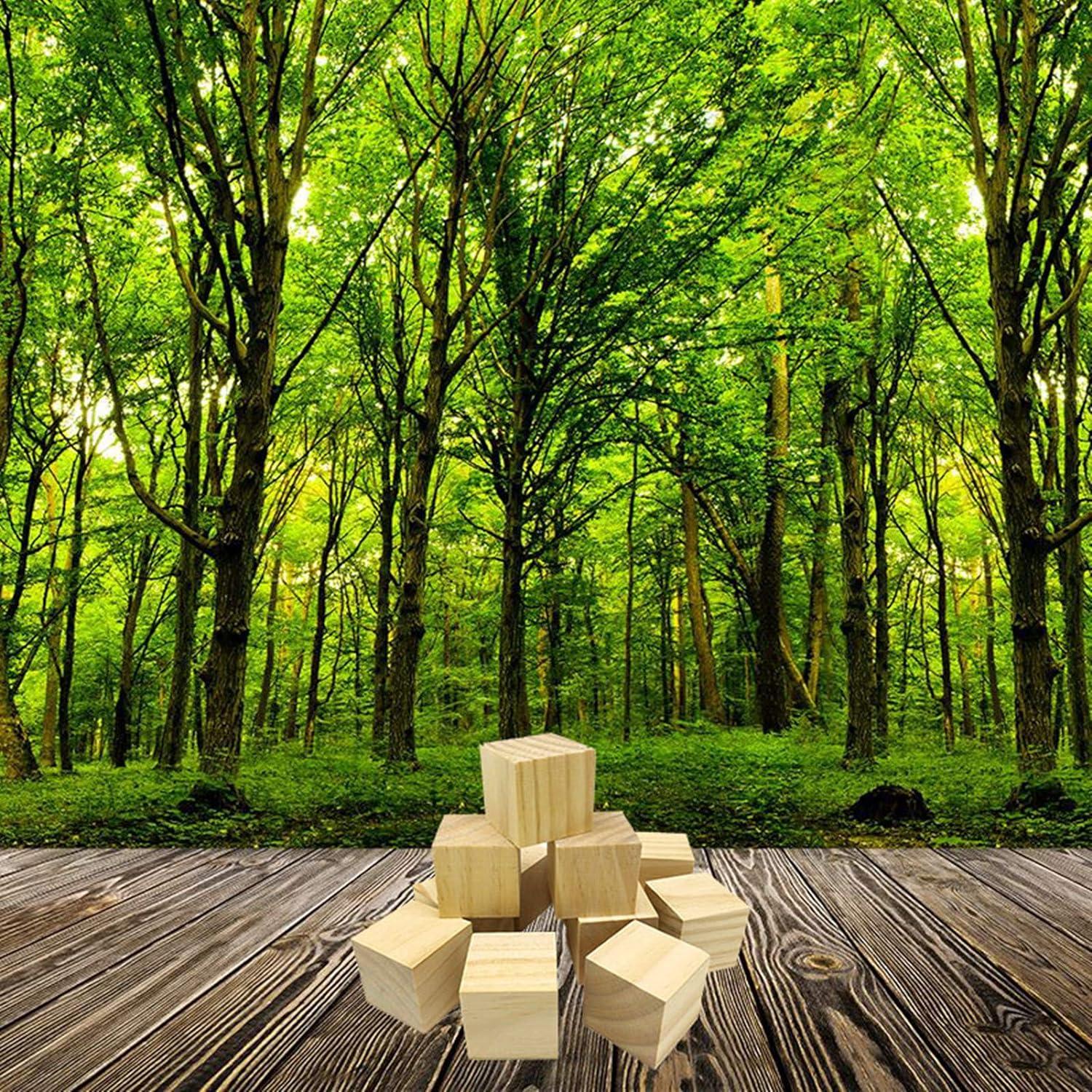 Khối Gỗ Khắc DIY, Thô Tự Nhiên Mịn, Mộc Nghệ Thuật 5x5x5 cm