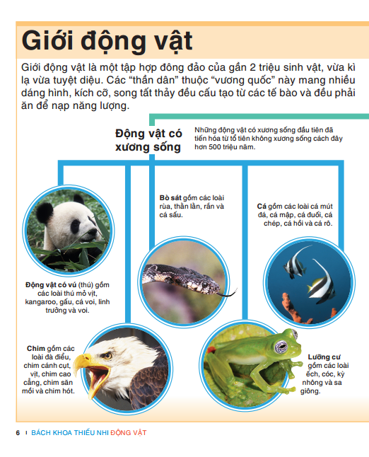 Tri Thức Trong Lòng Bàn Tay - Bách Khoa Thiếu Nhi - Động Vật (Bìa Cứng) (Tái Bản 2022)