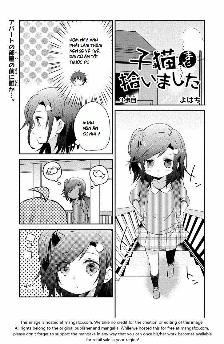 i found another kitten chapter 3 1