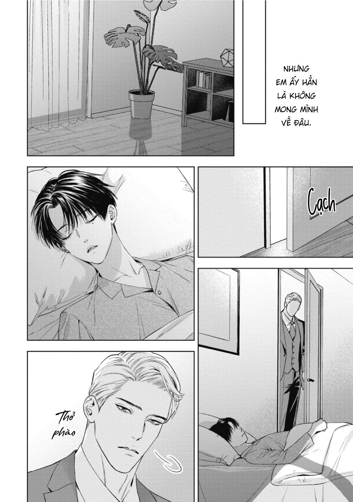 cô dâu của alpha chapter 20 25