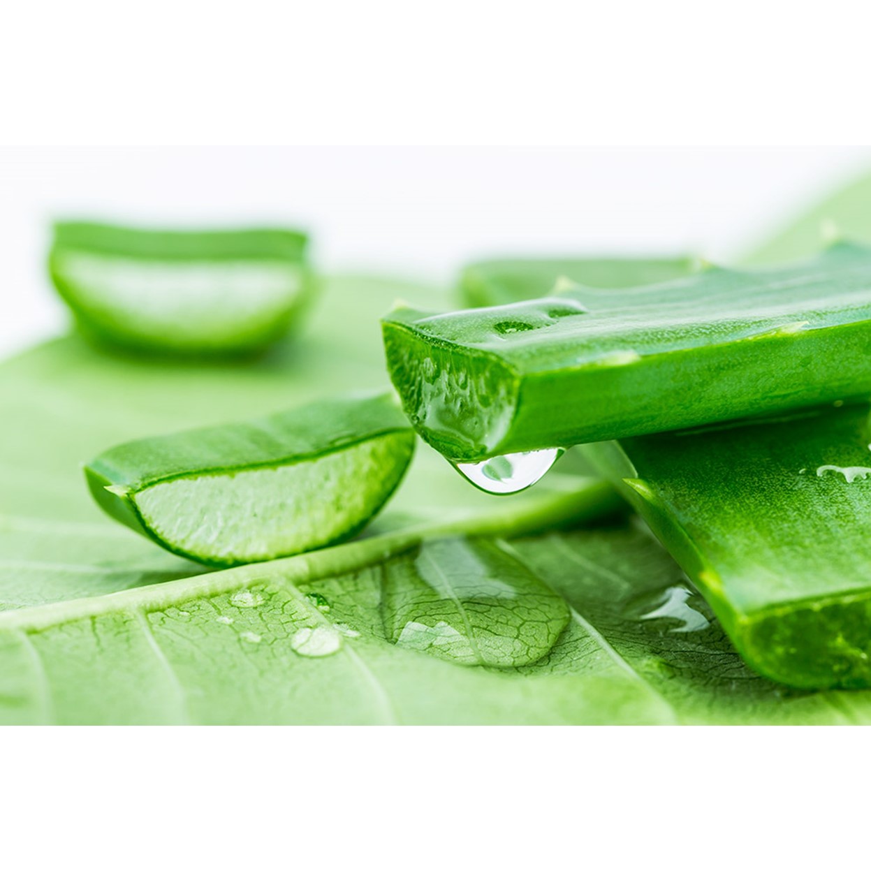 Sữa Tẩy Trang Thorakao Aloe Vera 140g