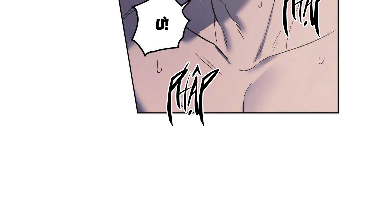 chàng dâu nhà họ kang chapter 23 39