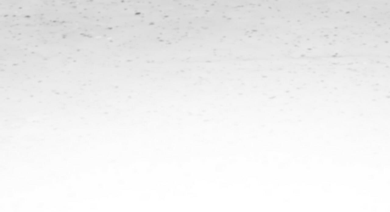 đàn thỏ của habibi chapter 47 195