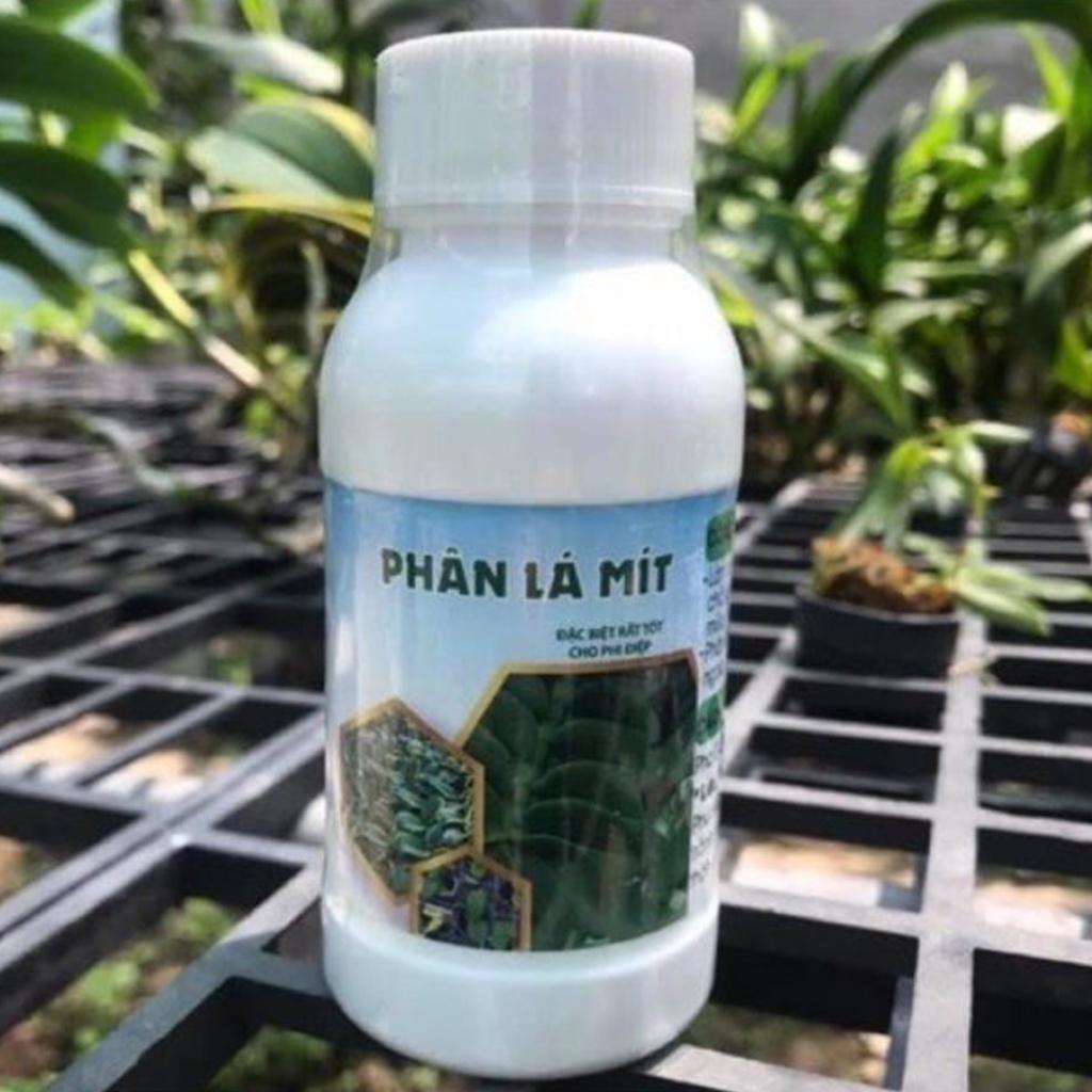 Phân bón mập thân lá mít - mập cây , siêu to lá , dày lá - Chai 100g