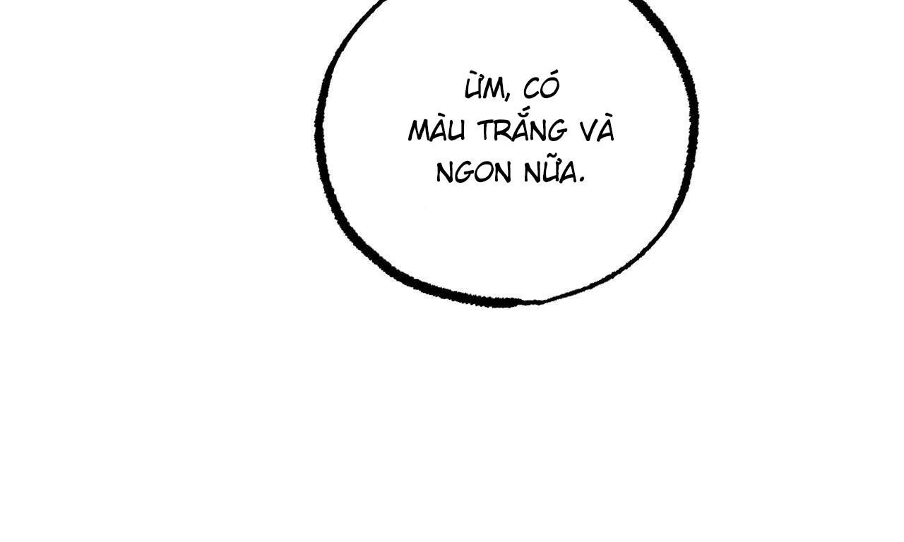 những chú thỏ của hapypy chapter 53 186