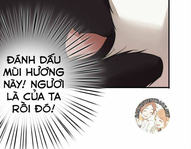 viện bảo tàng tâm nguyện chapter 2.1 42