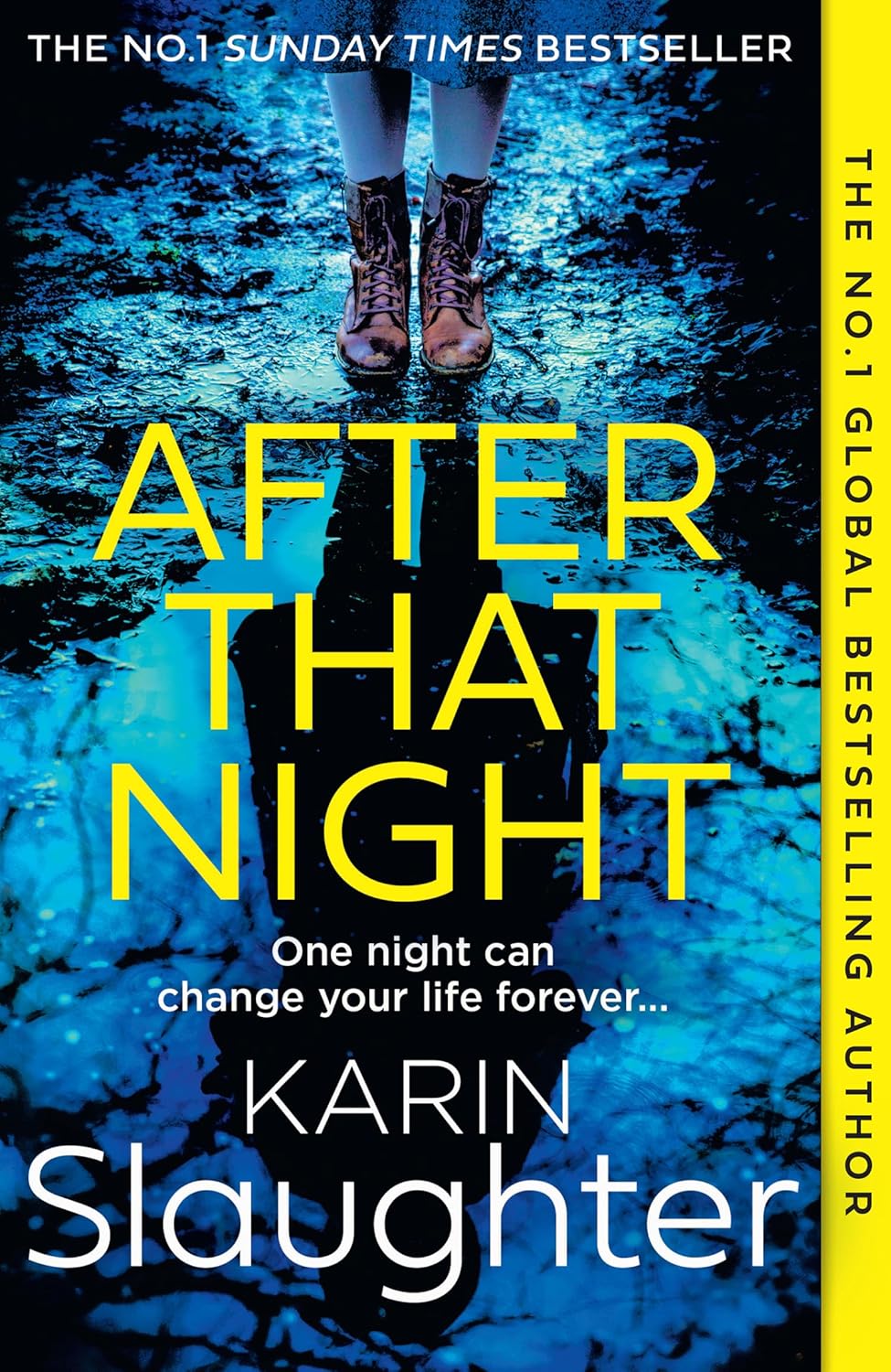 Sách văn học tiếng Anh - After That Night