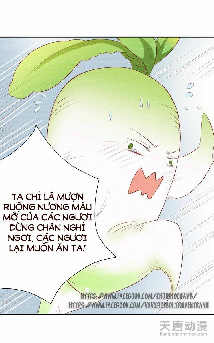 nhân hoa duyên chi sư phụ đại nhân cầu sủng ái chapter 4 28