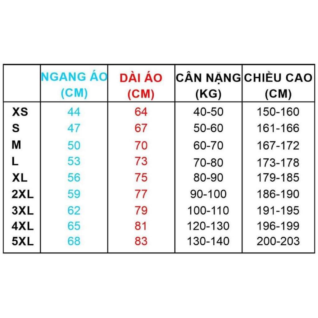 ÁO PHÔNG 100% COTTON IN GẤU CAO CẤP 4