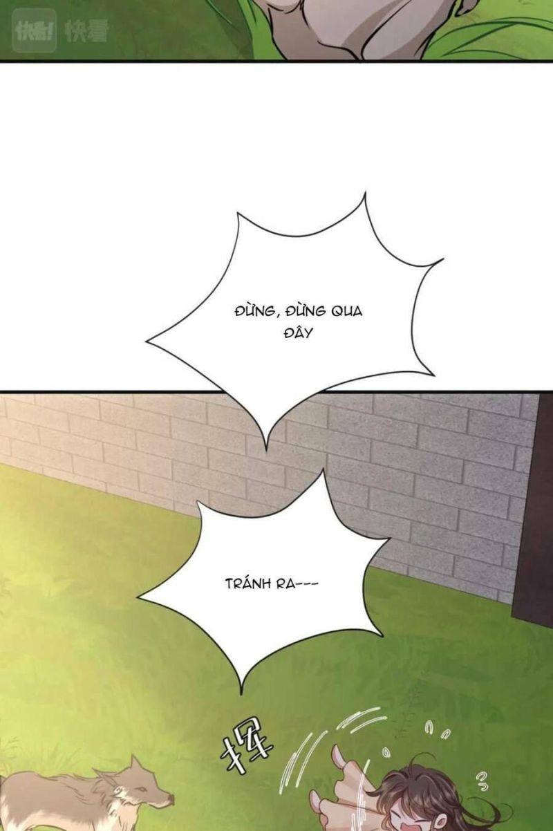 phương thức sinh tồn của công chúa pháo hôi chapter 117 13