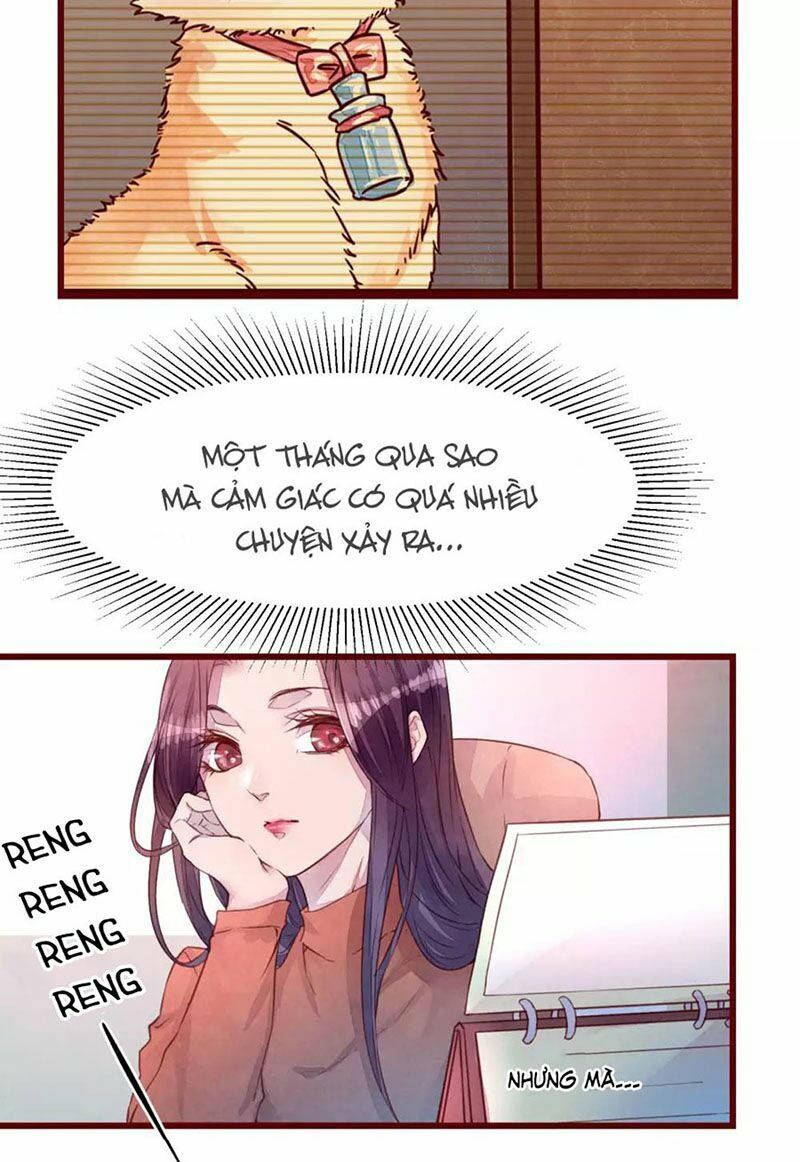 đào tạo nuôi dưỡng bạn trai mèo chapter 31 11